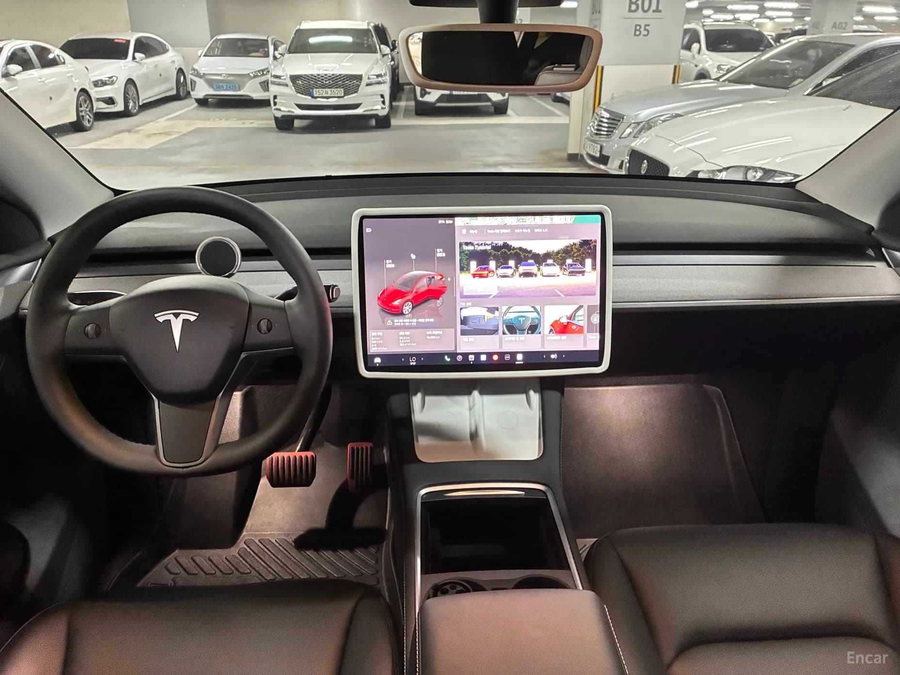 Model Y