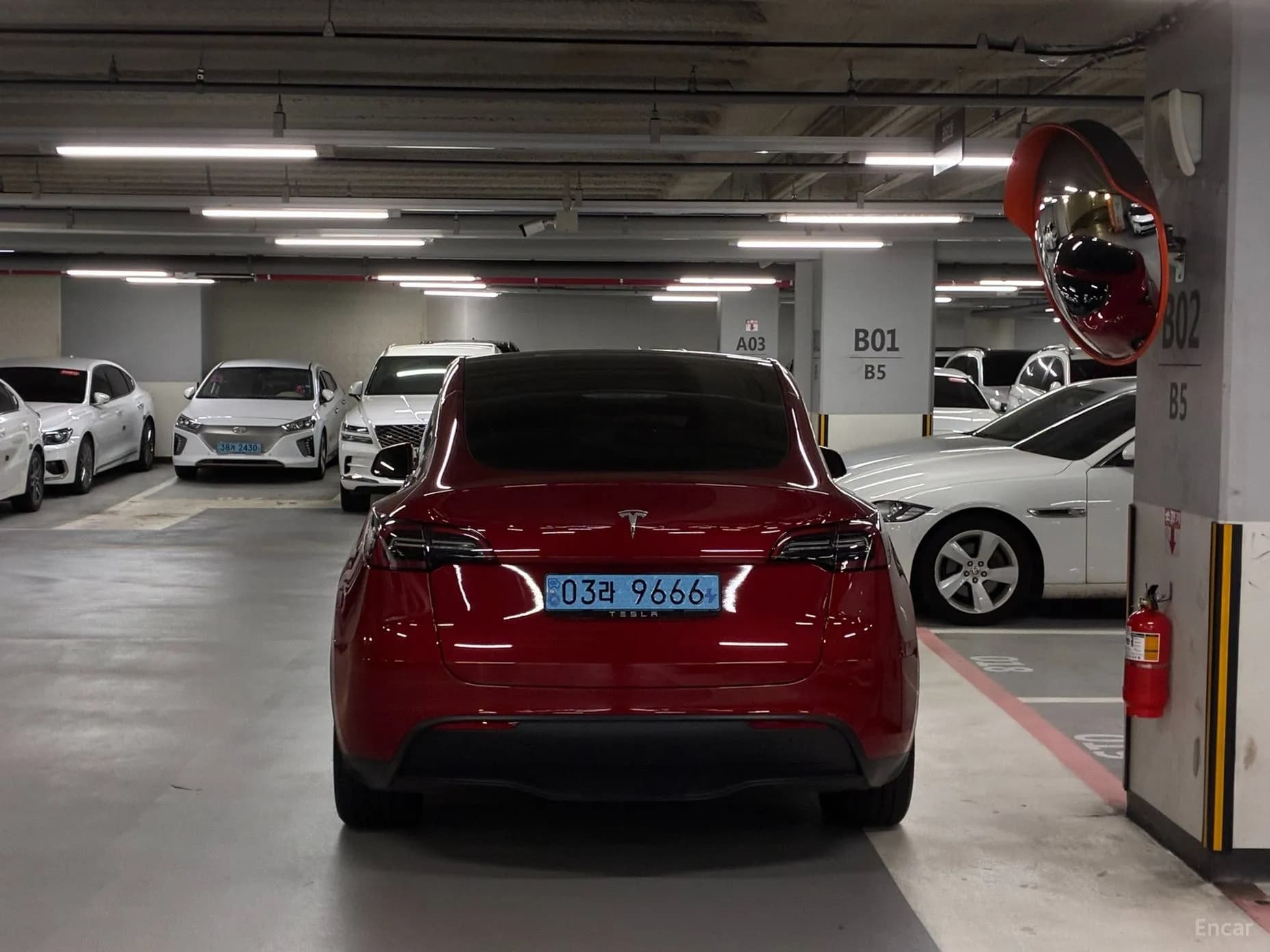 Model Y