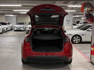 Model Y