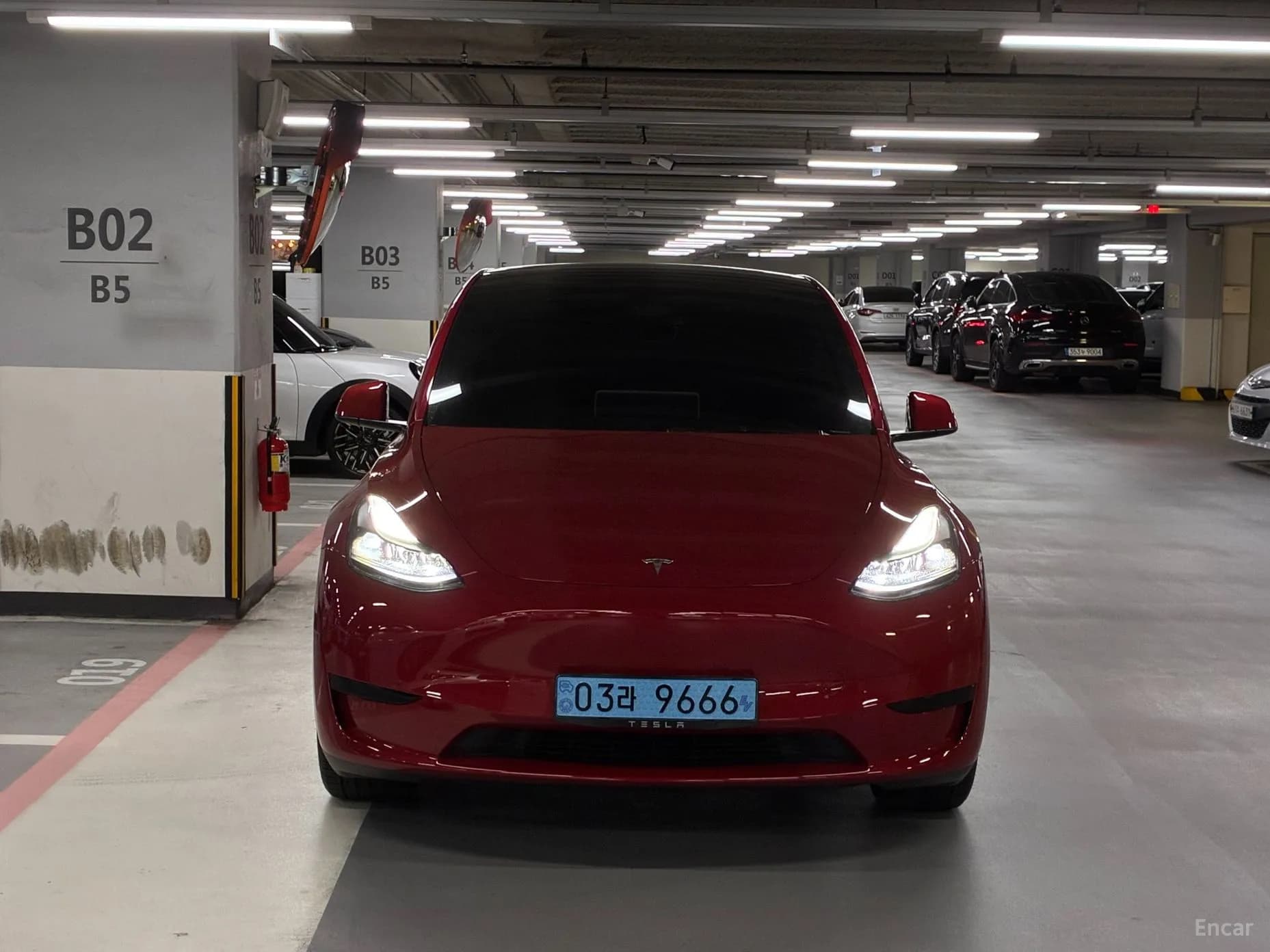 Model Y