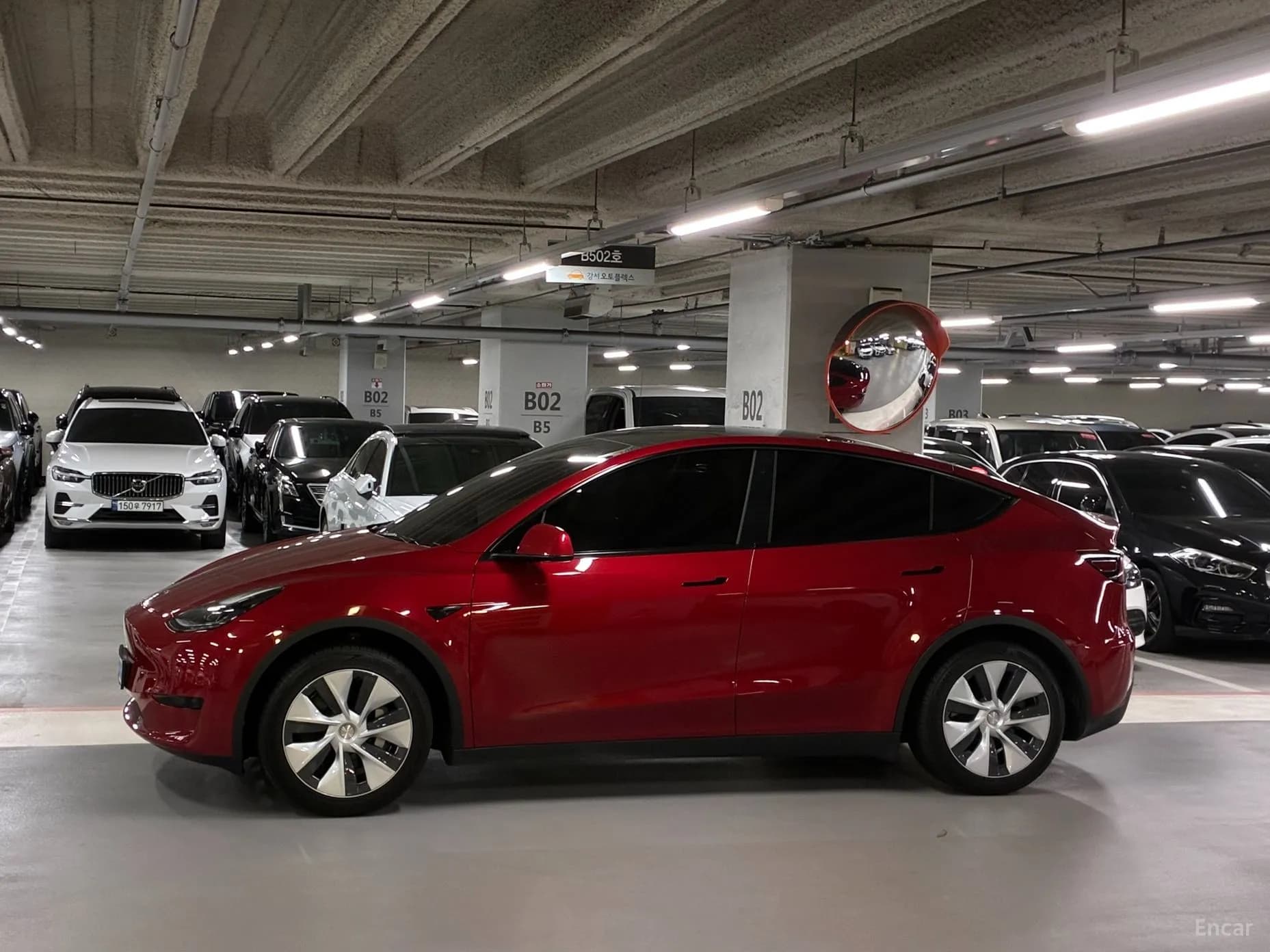 Model Y