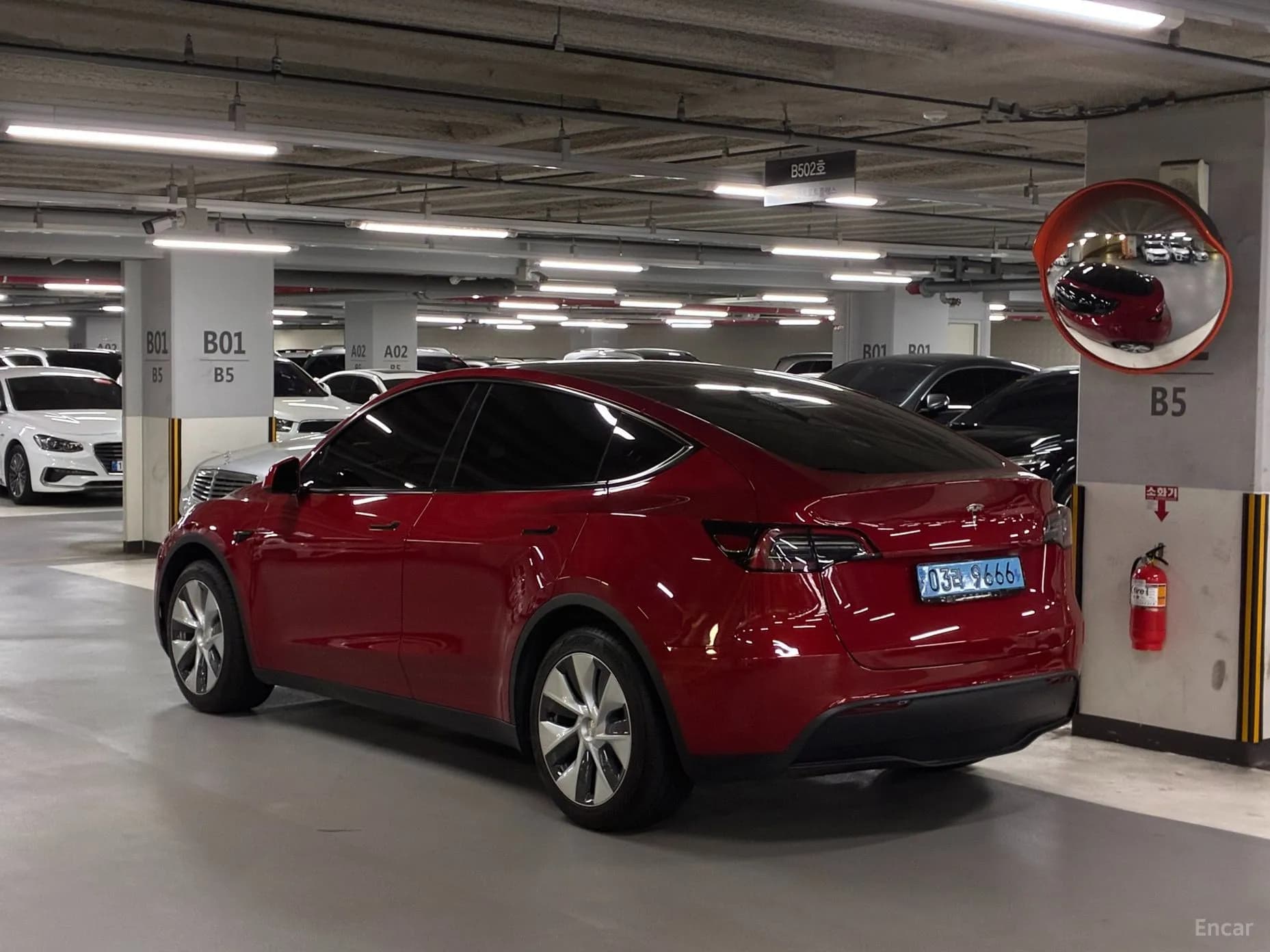 Model Y