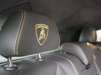 Urus