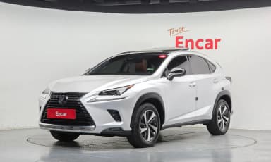 NX300h