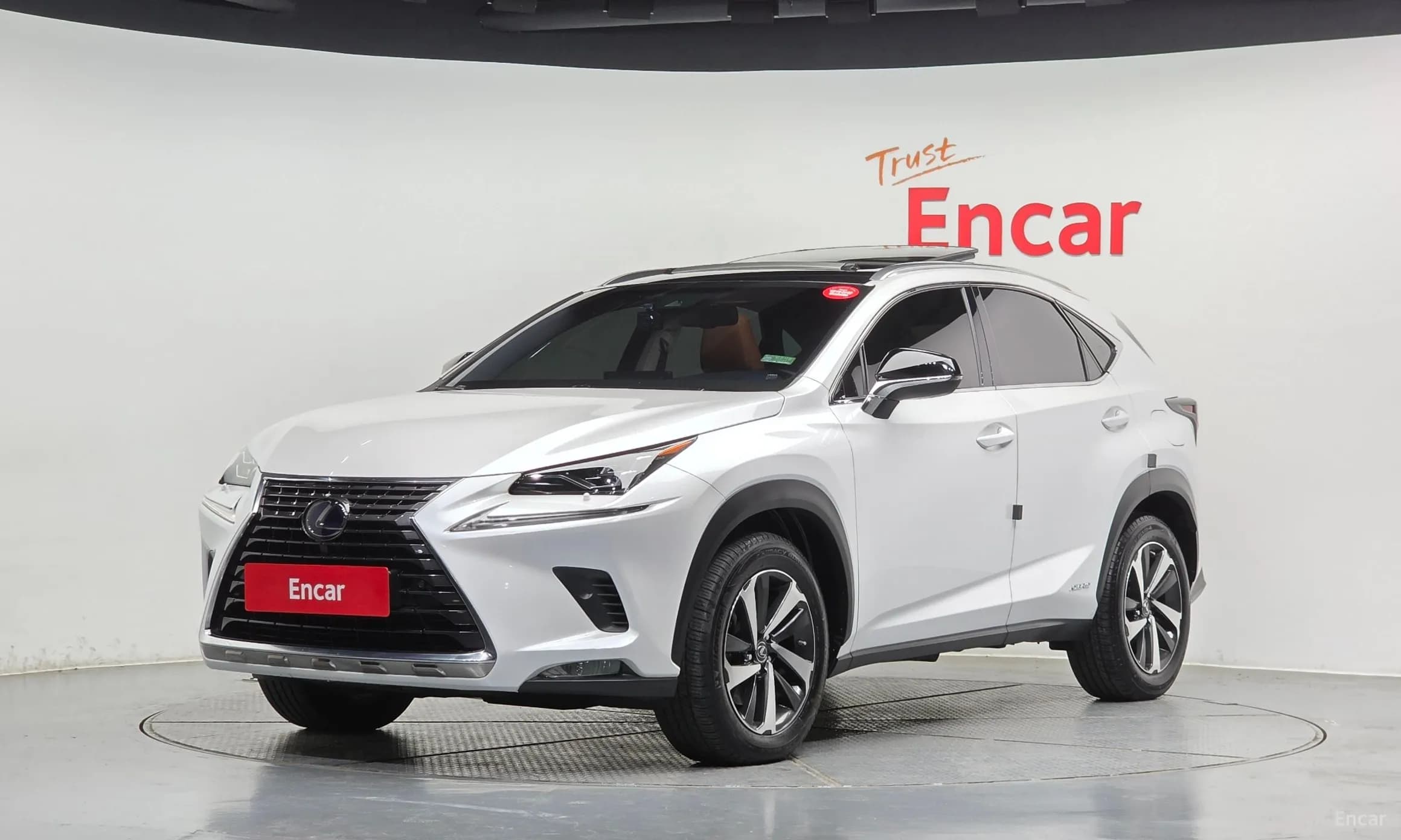 NX300h