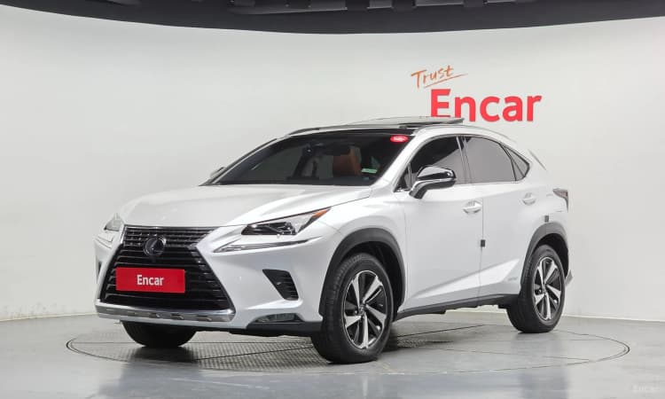 NX300h