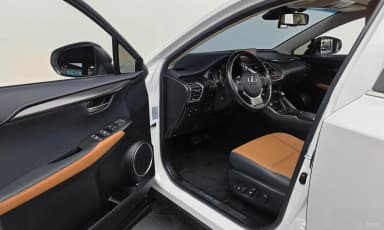 NX300h
