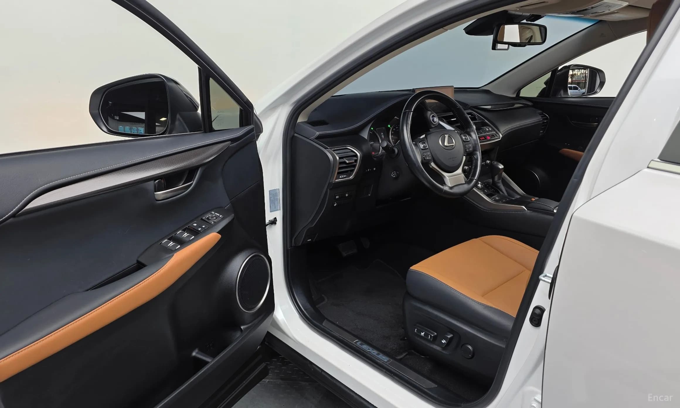 NX300h
