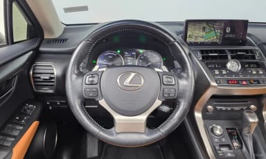 NX300h