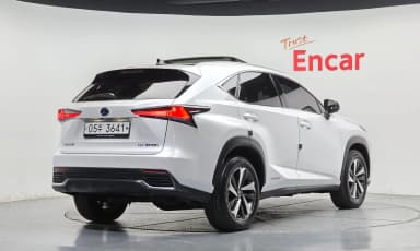 NX300h