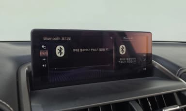NX300h