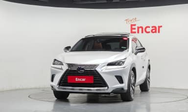 NX300h