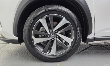 NX300h