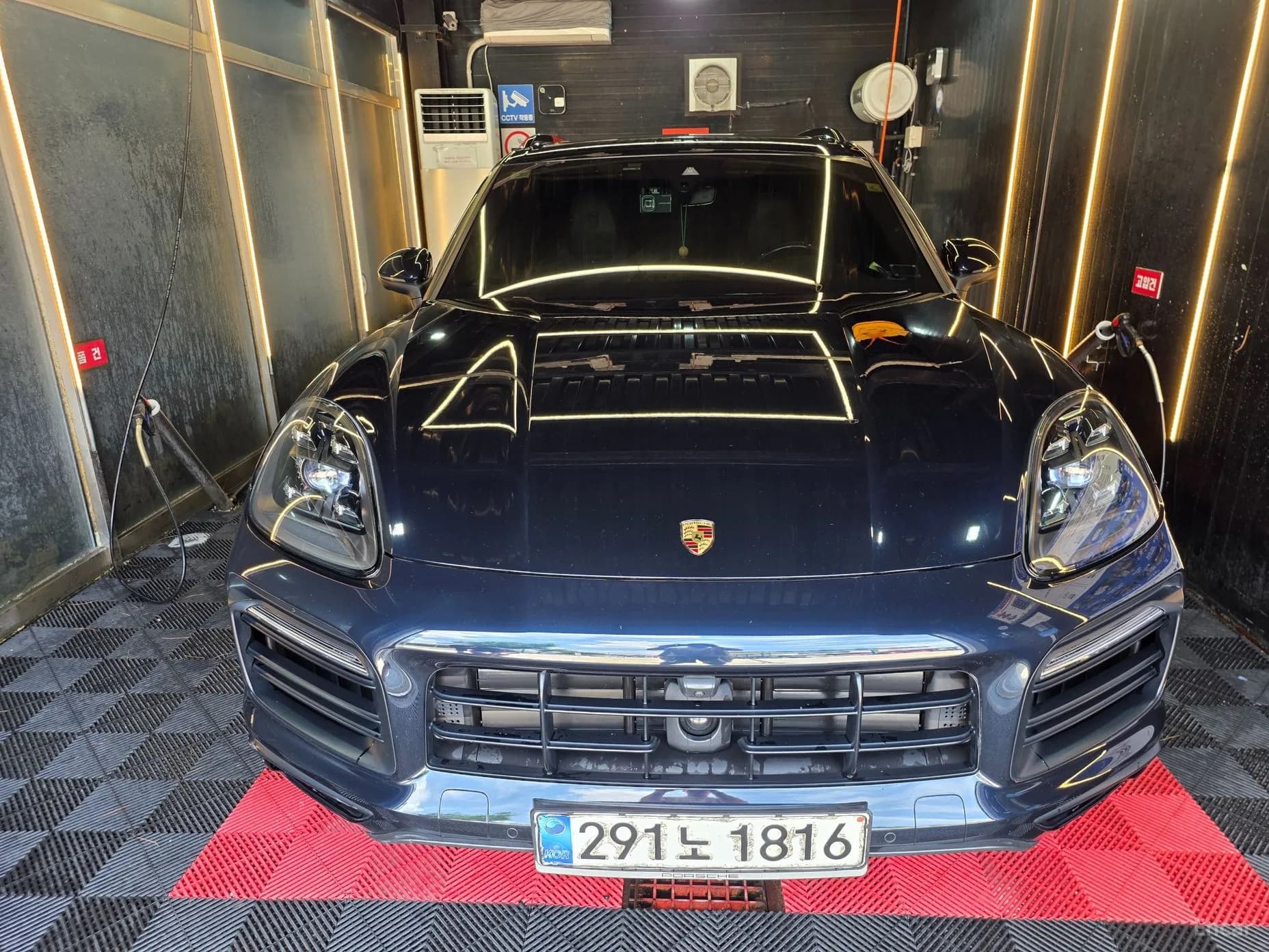 Cayenne (PO536)