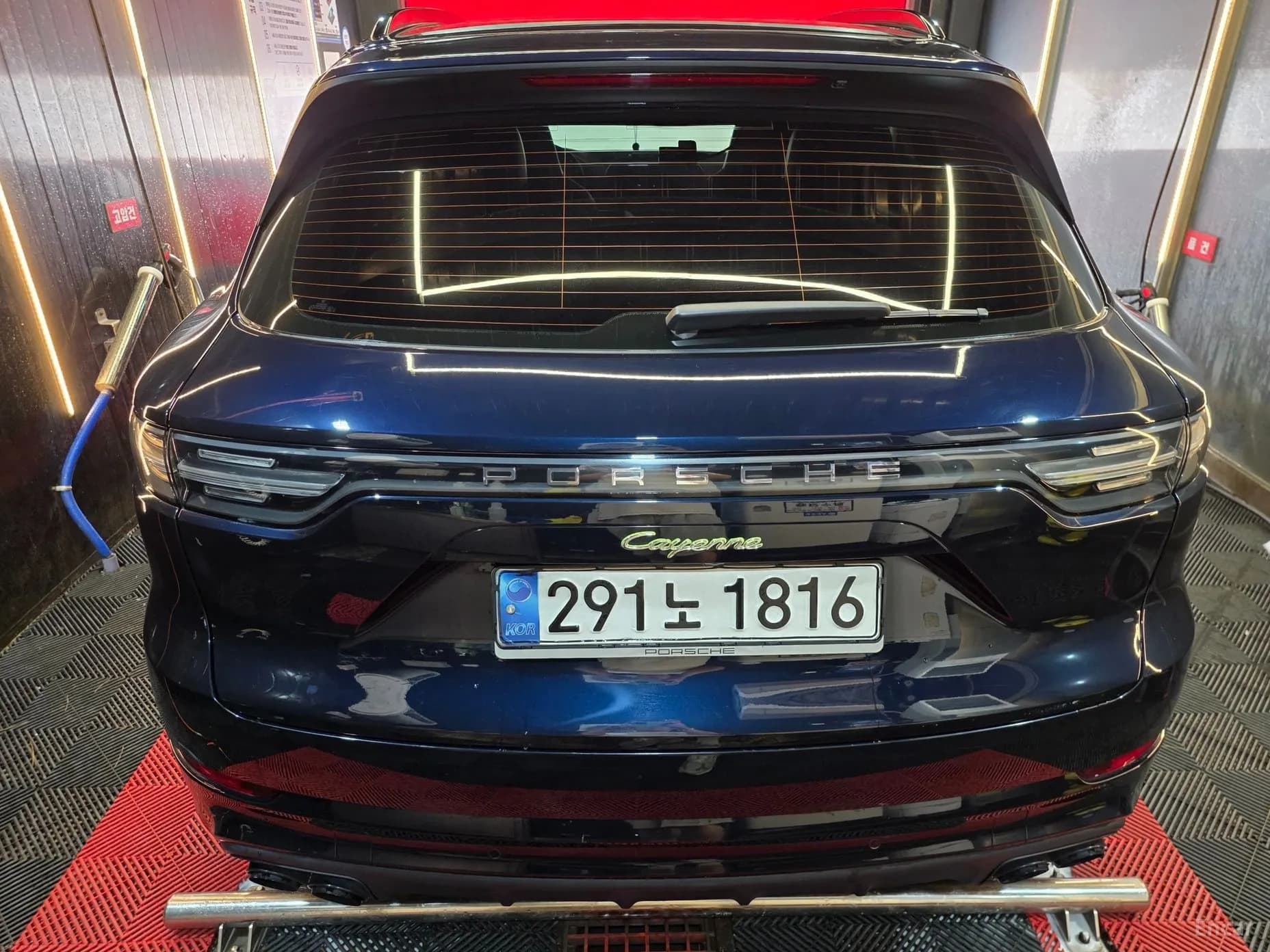 Cayenne (PO536)
