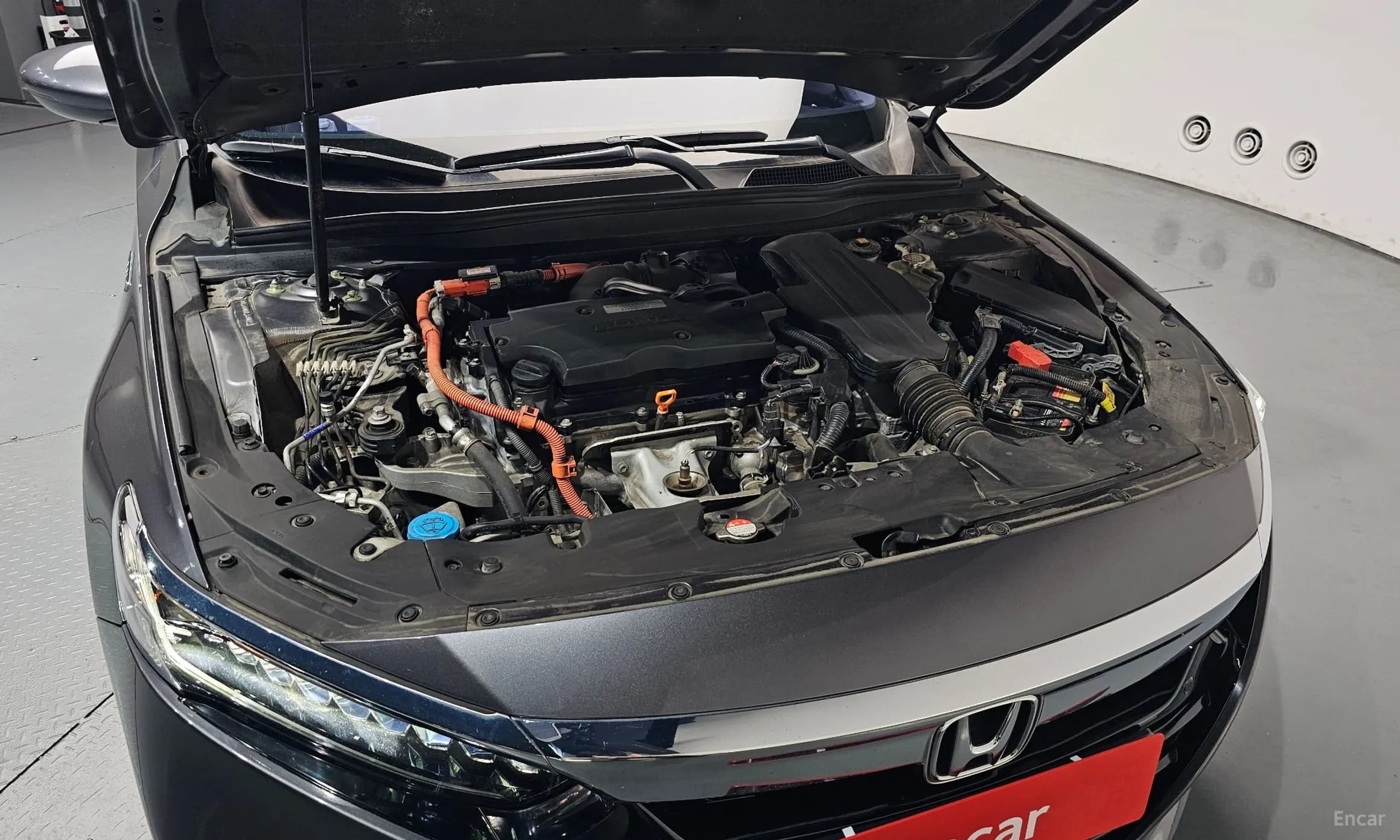 Accord 10th Generation