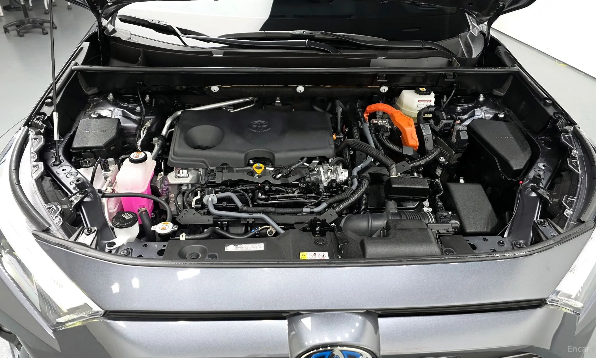 RAV4 5th Generation