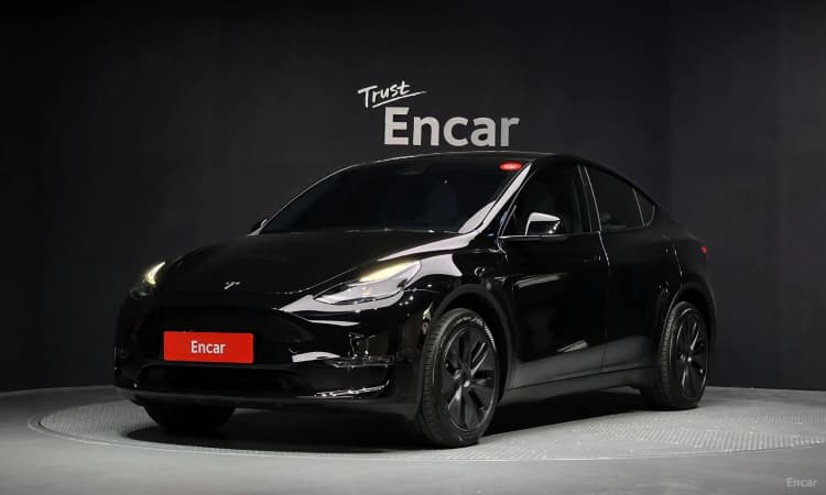 Model Y