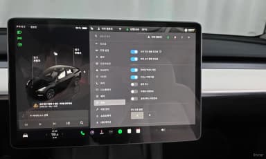 Model Y