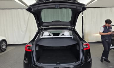 Model Y