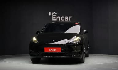 Model Y