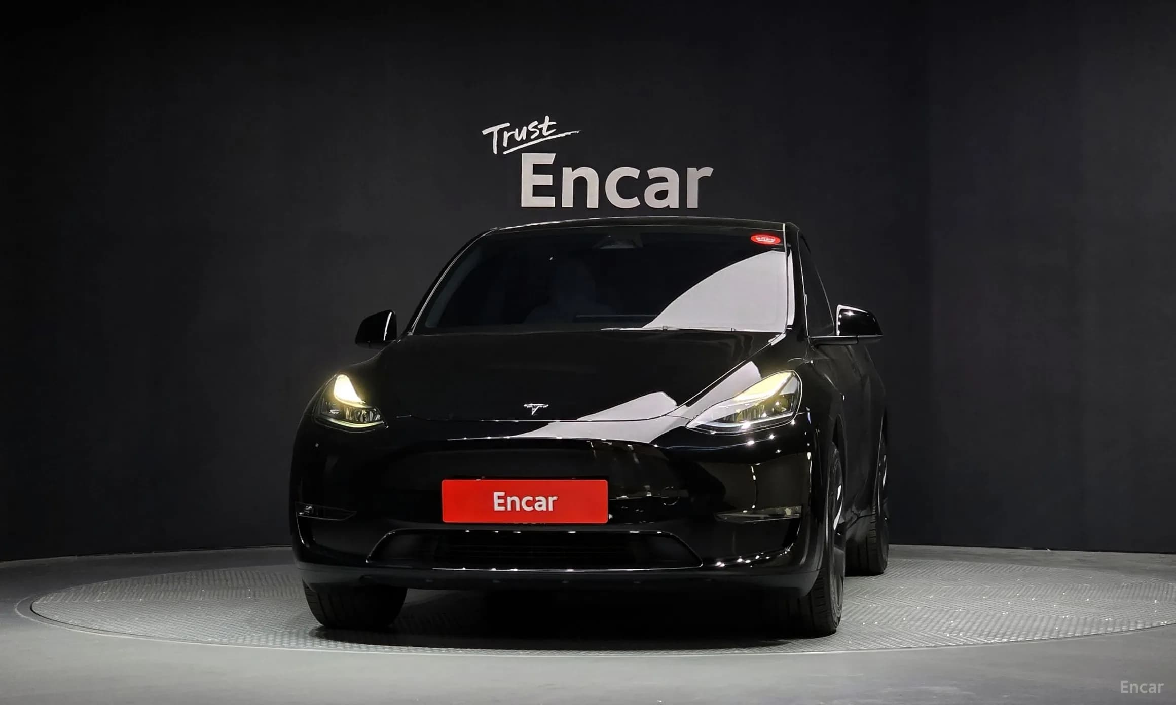 Model Y