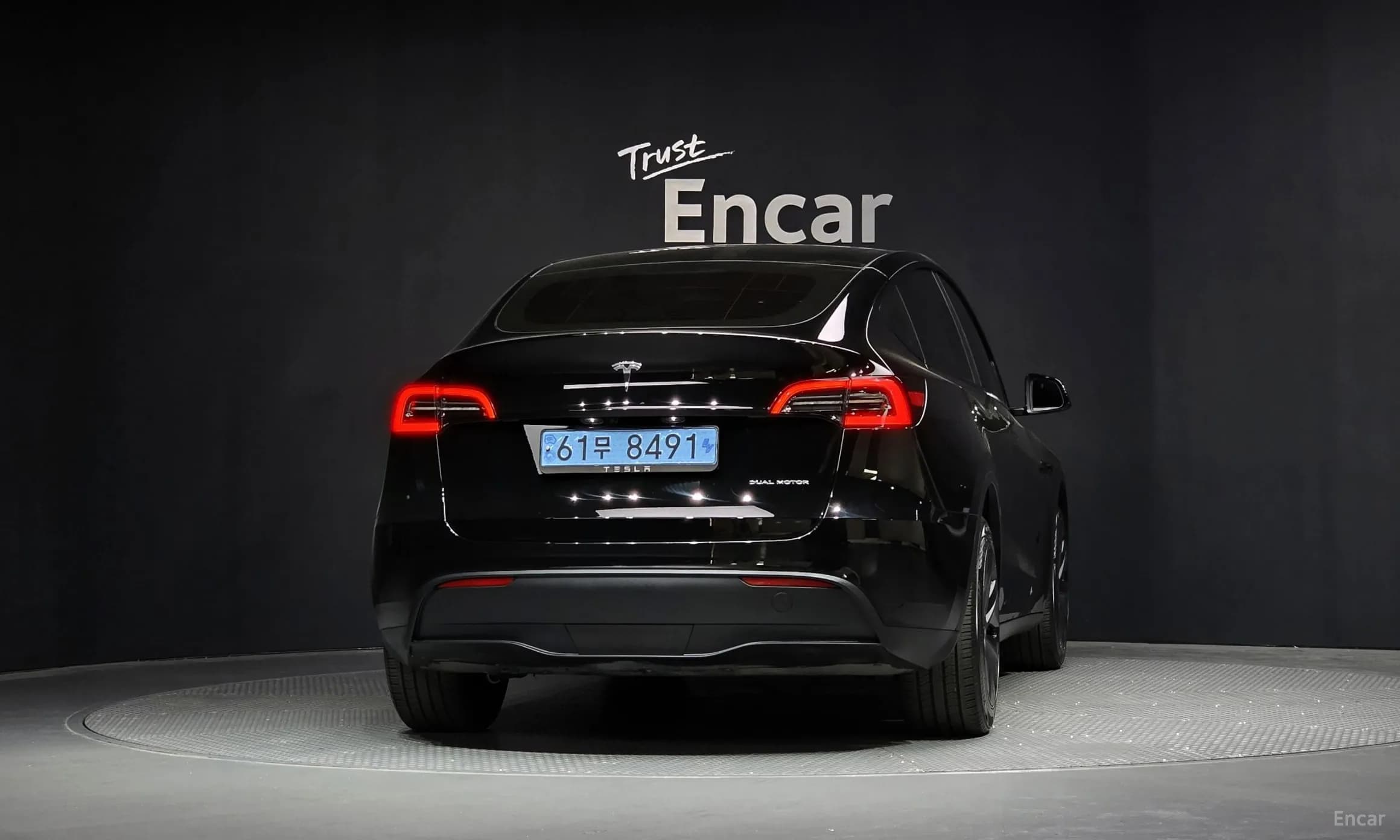 Model Y
