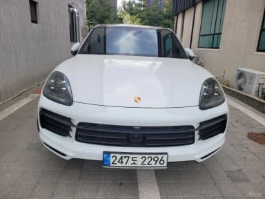 Cayenne (PO536)