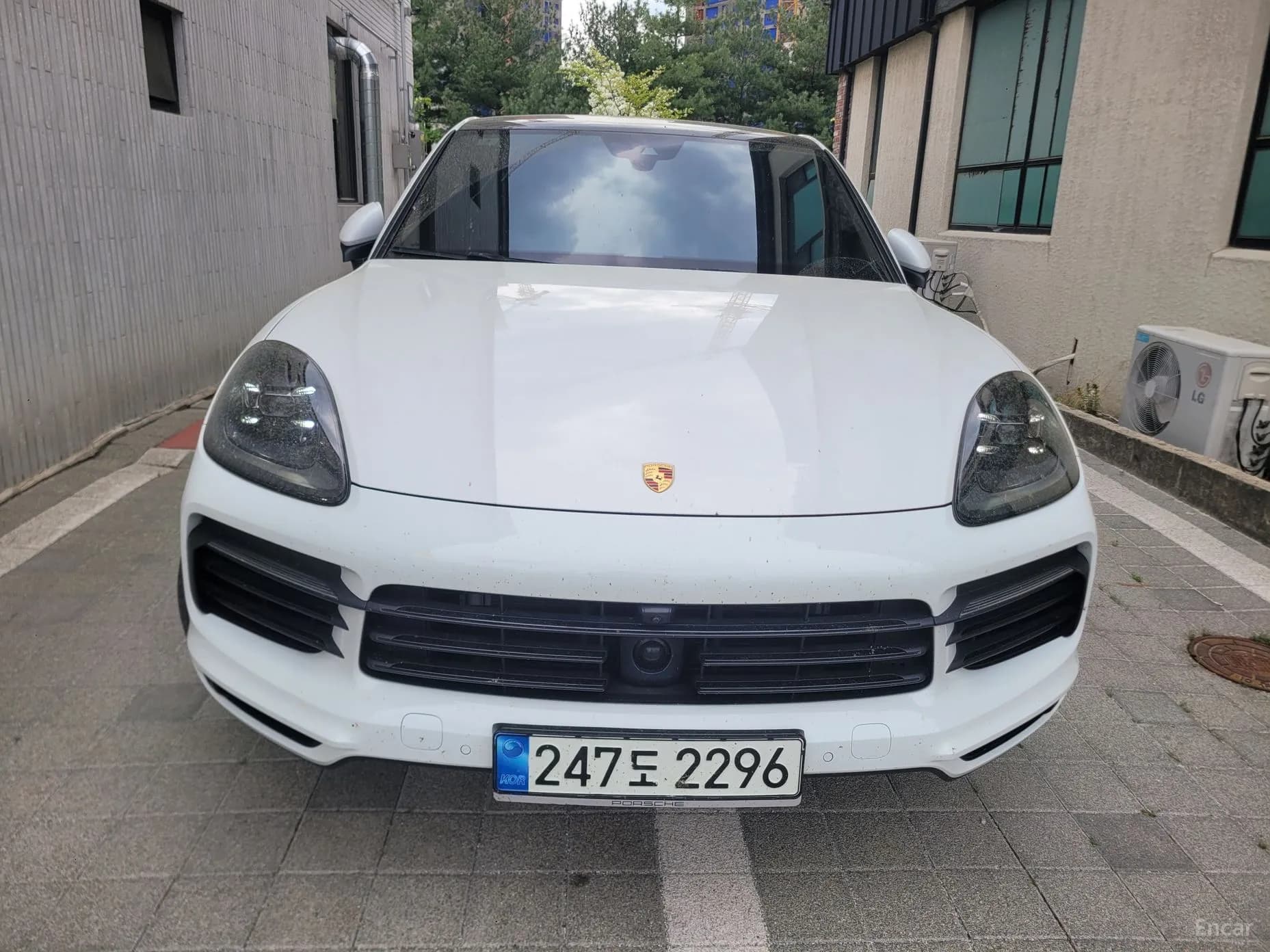 Cayenne (PO536)