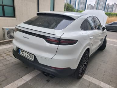 Cayenne (PO536)