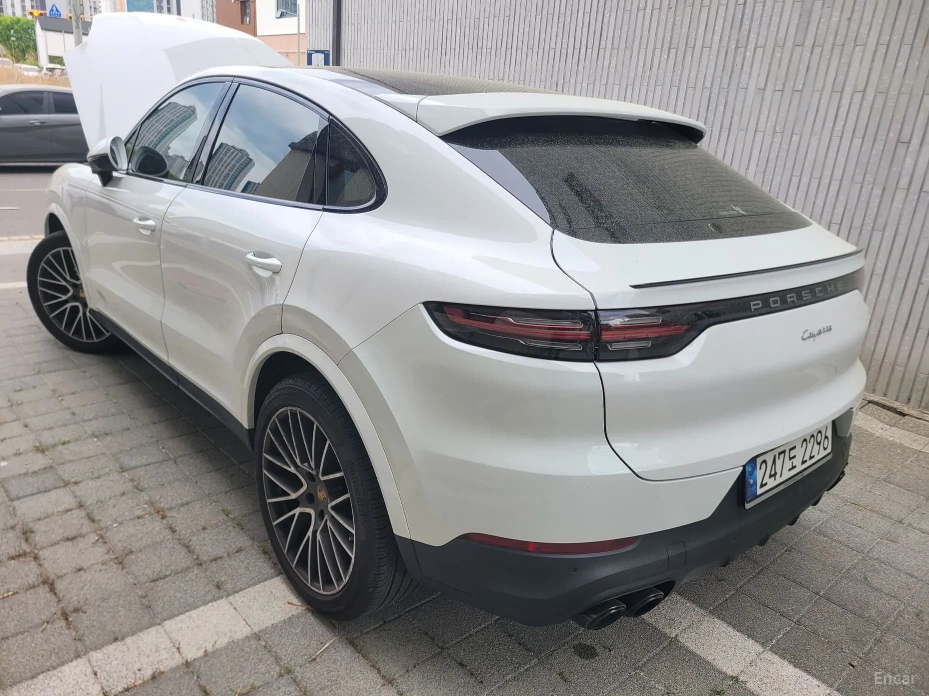 Cayenne (PO536)