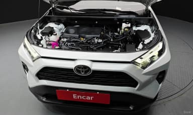 RAV4 5th Generation