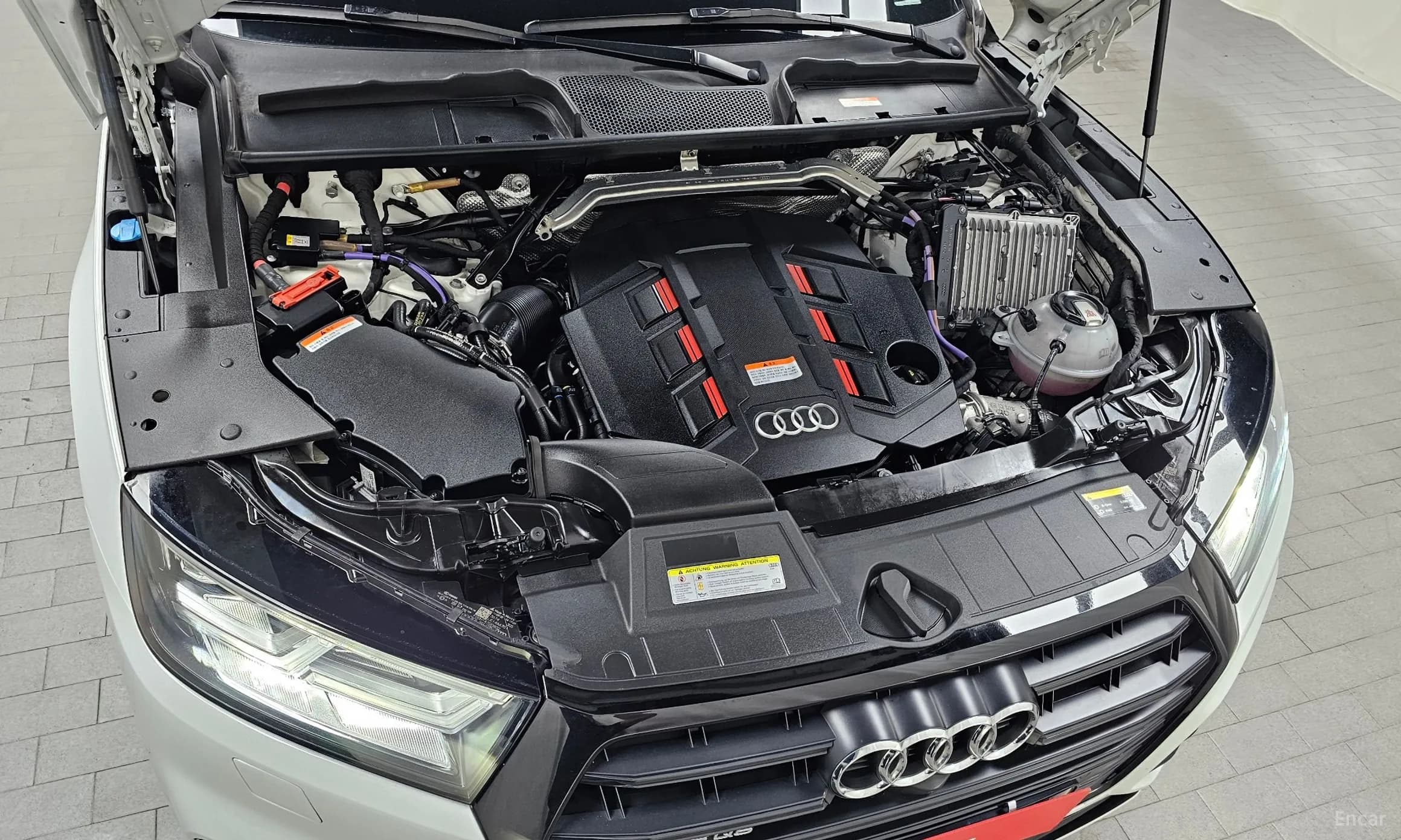 SQ5 (FY)
