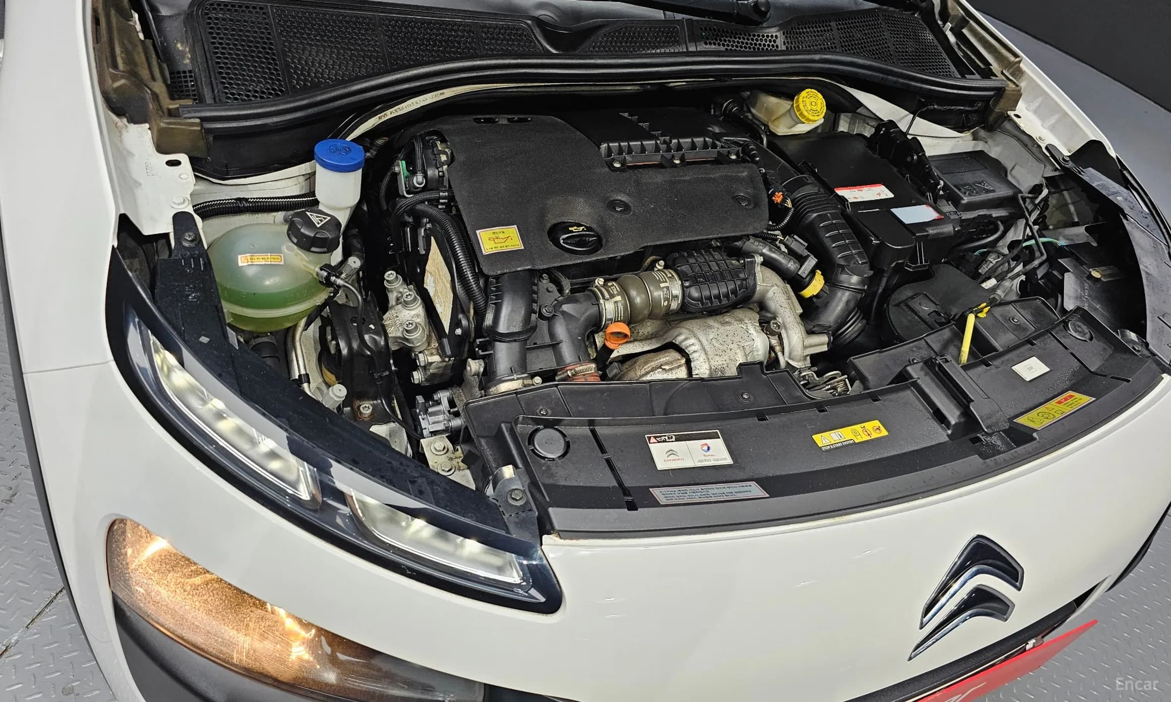 C4 Cocktooth