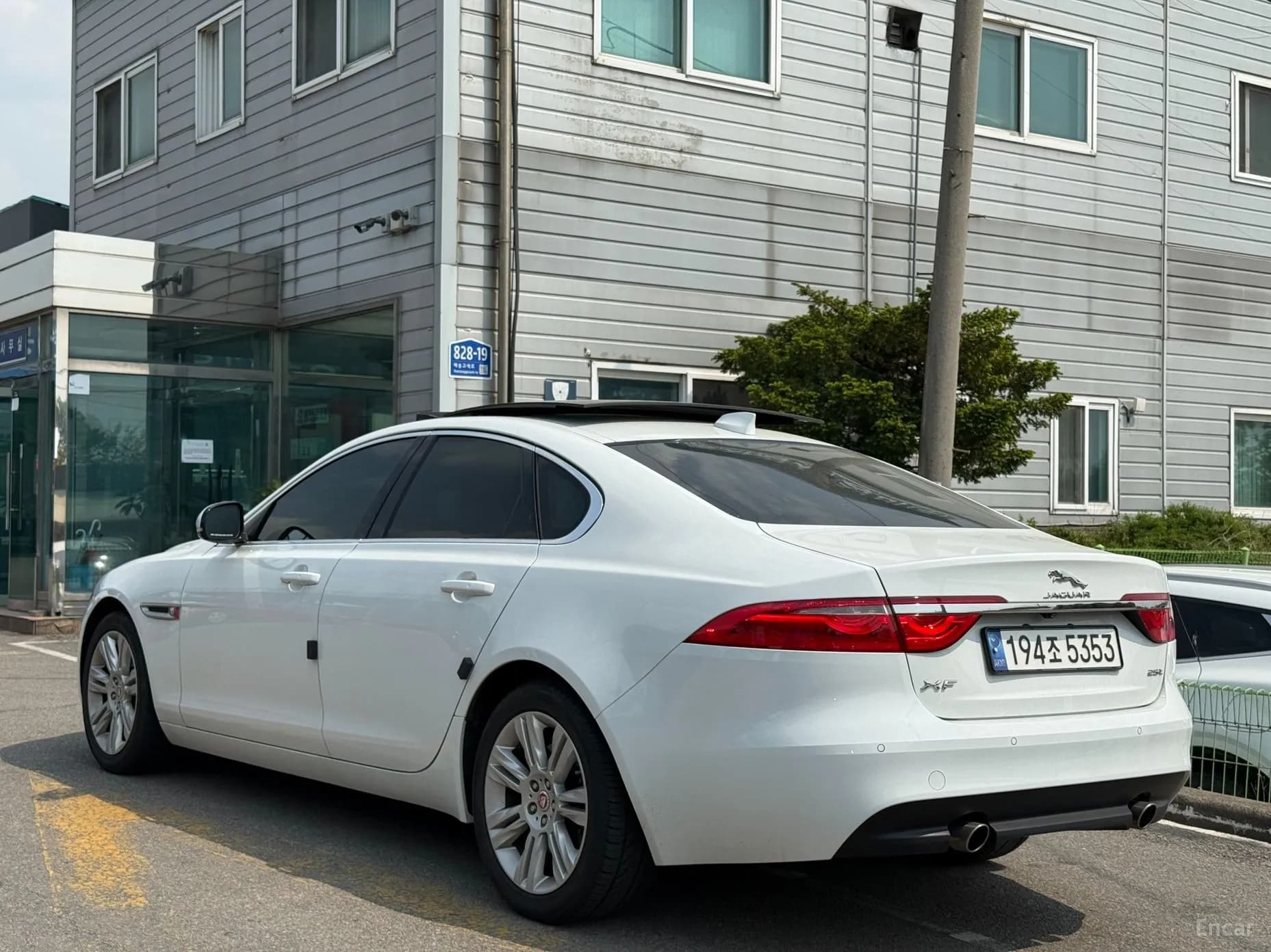 XF (x260)