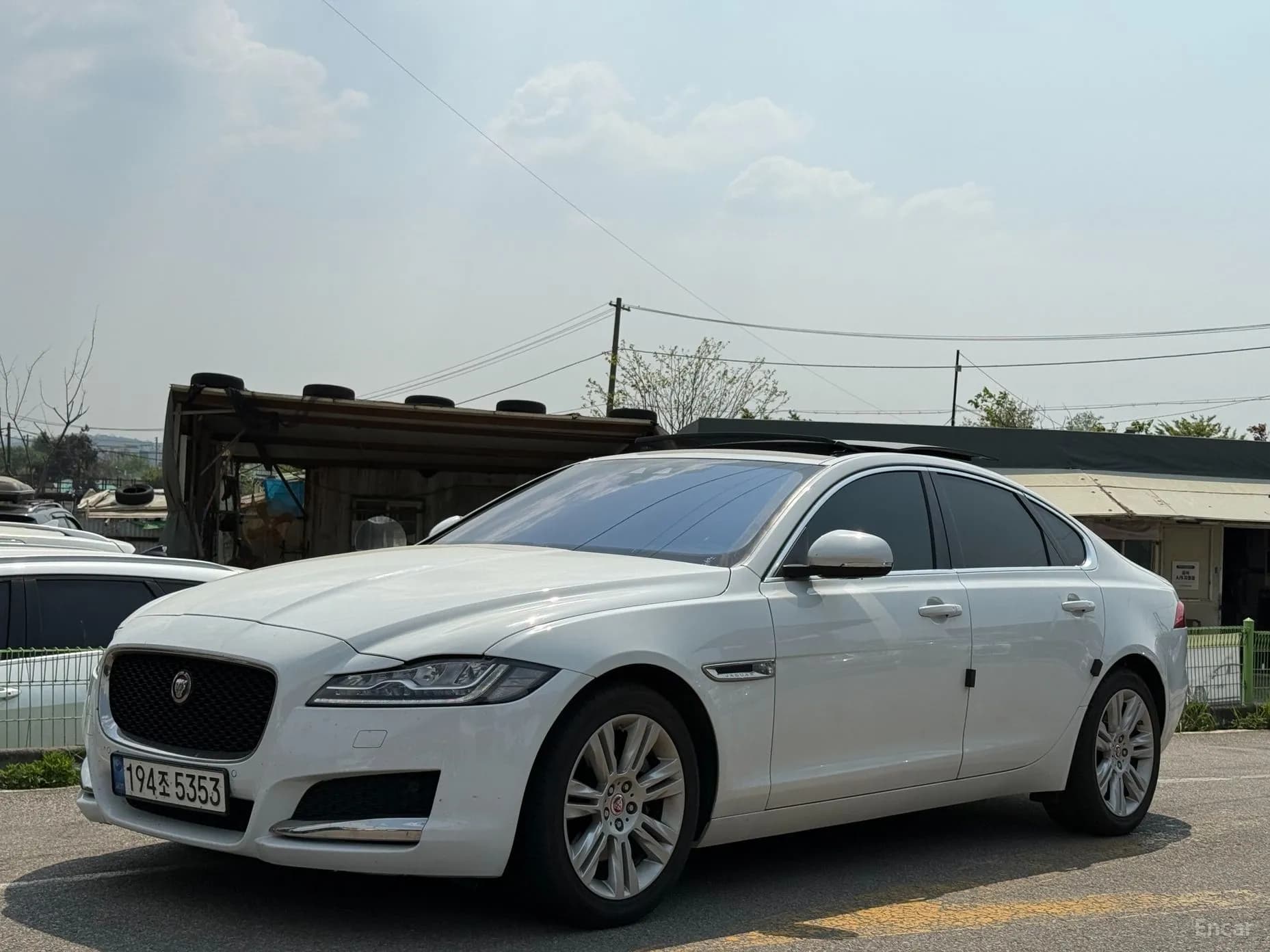XF (x260)