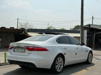 XF (x260)