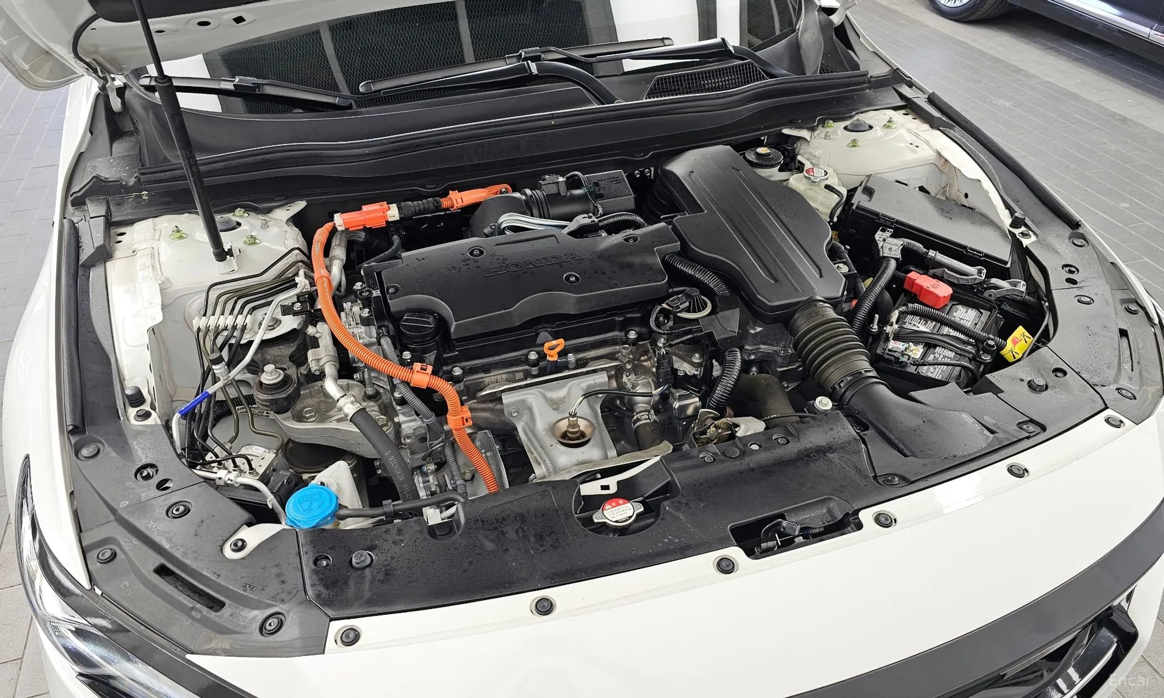 Accord 10th Generation