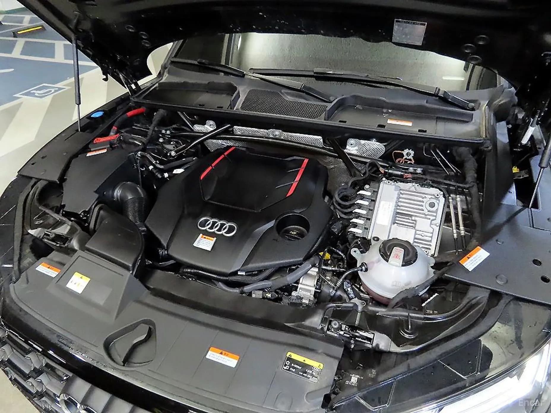SQ5 (FY)