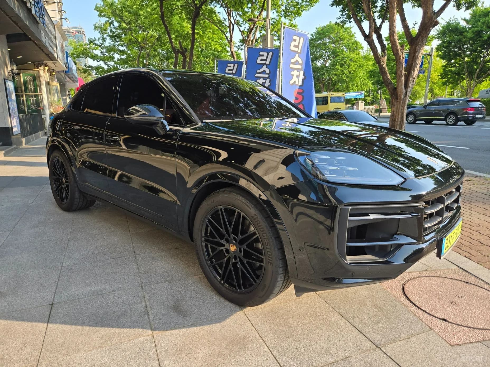 Cayenne (PO536)