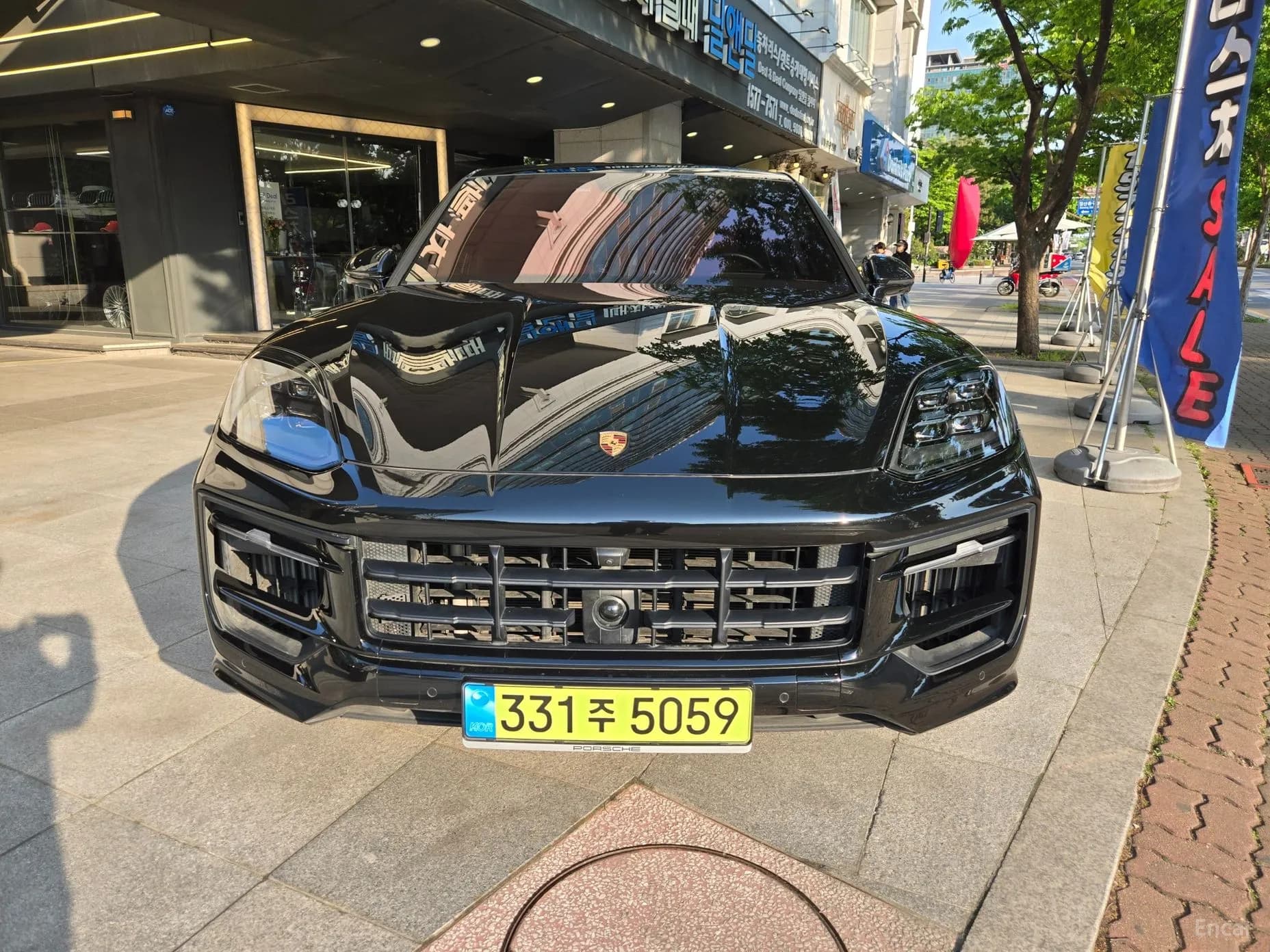 Cayenne (PO536)