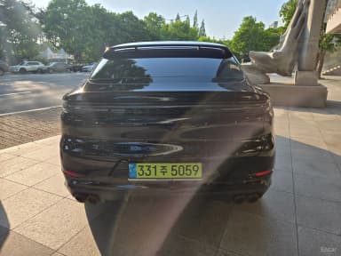 Cayenne (PO536)