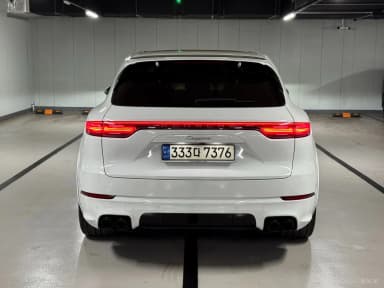 Cayenne (PO536)