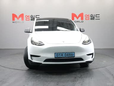 Model Y