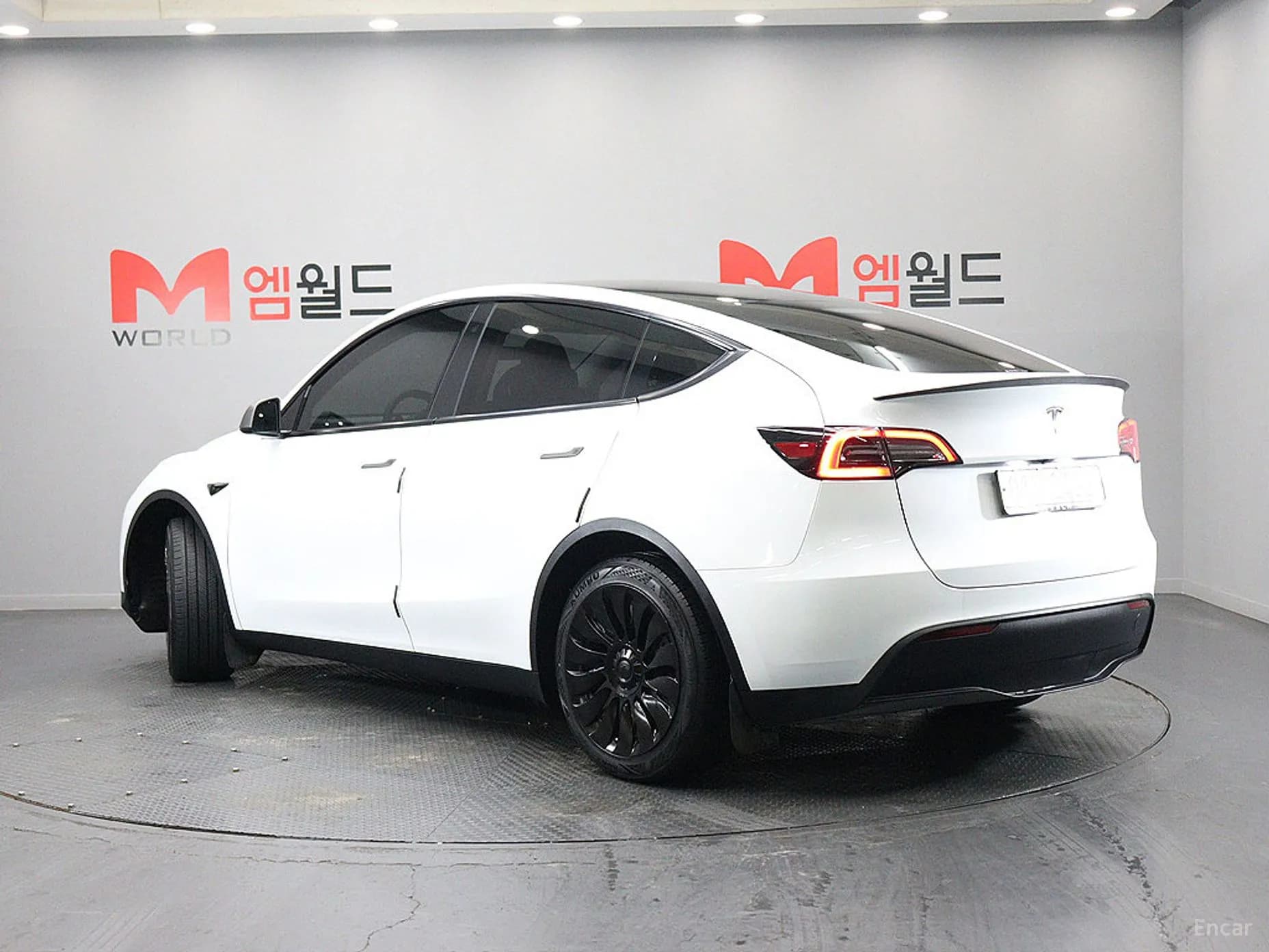 Model Y