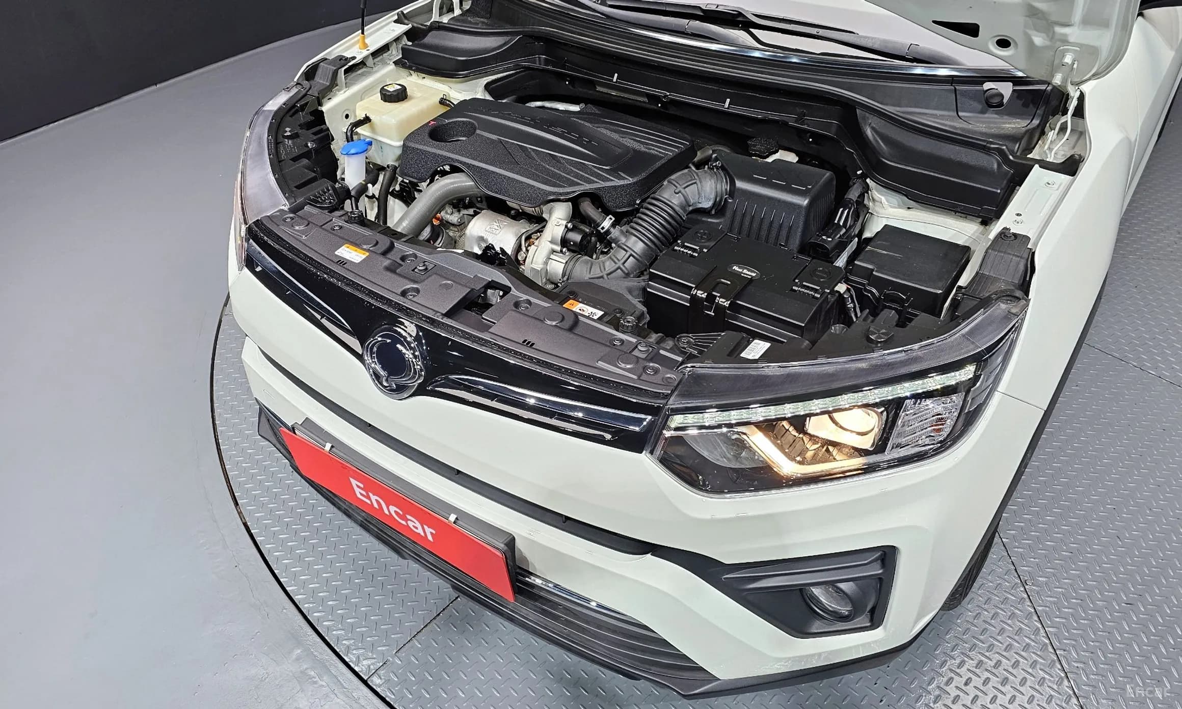 Berry New Tivoli