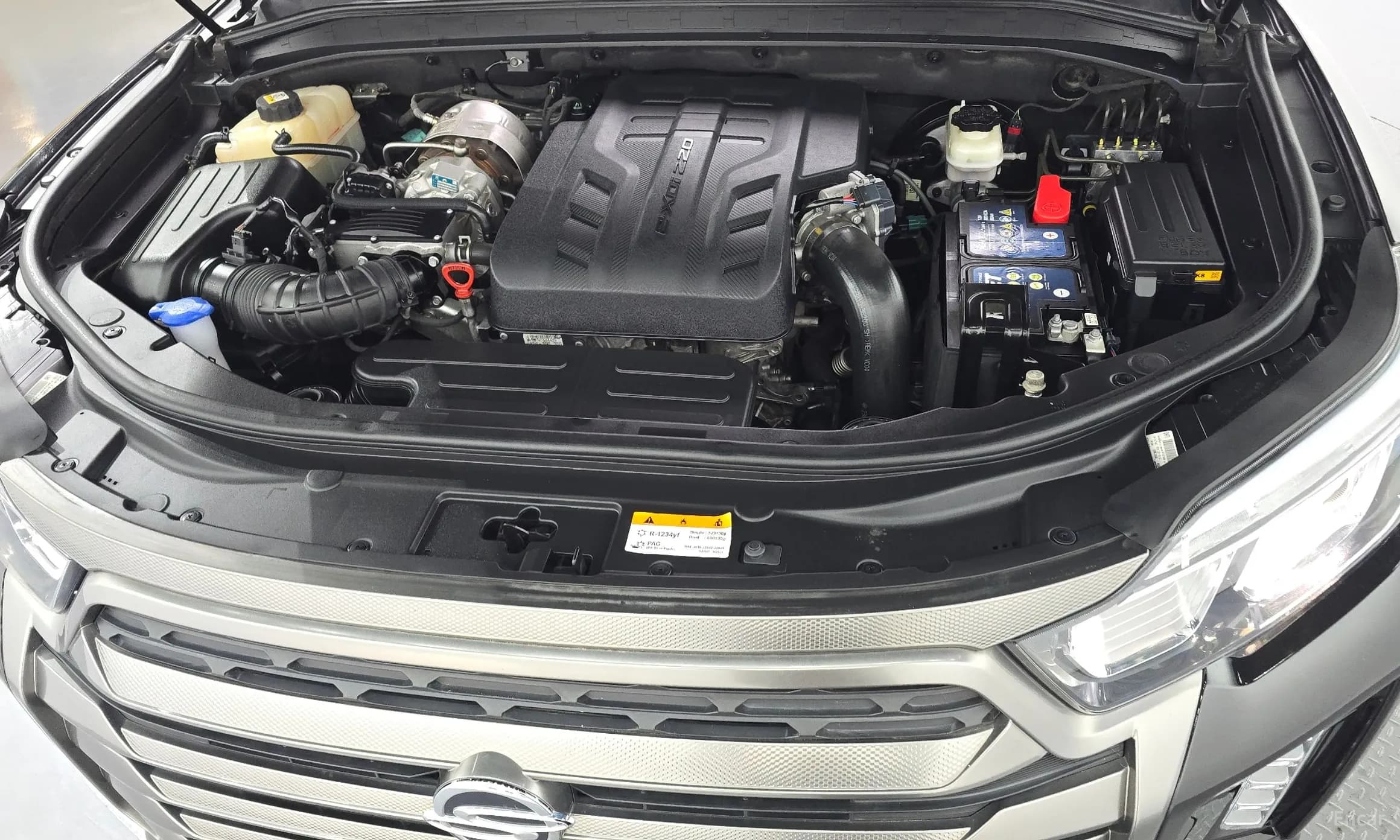 Rexton Sports