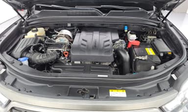 Rexton Sports