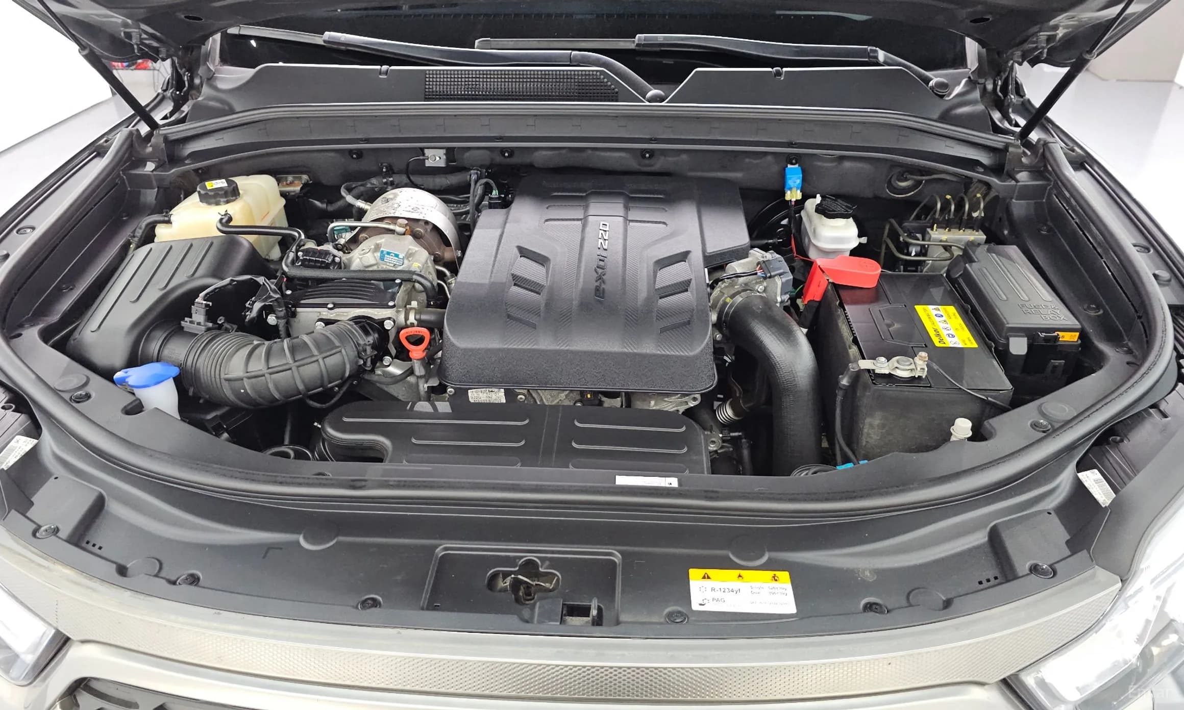 Rexton Sports