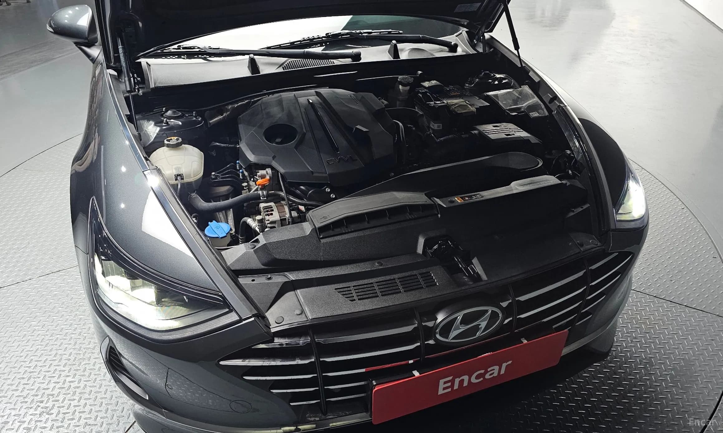 Sonata (DN8)